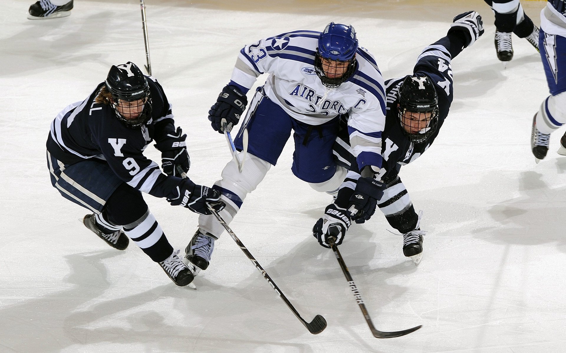 荷兰女队蝶泳速度惊艳全场，荷兰女游泳运动员