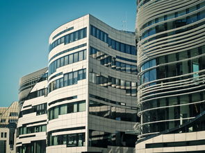 华人买家成美国房产市场主力，影响深远，美国华裔房地产大亨