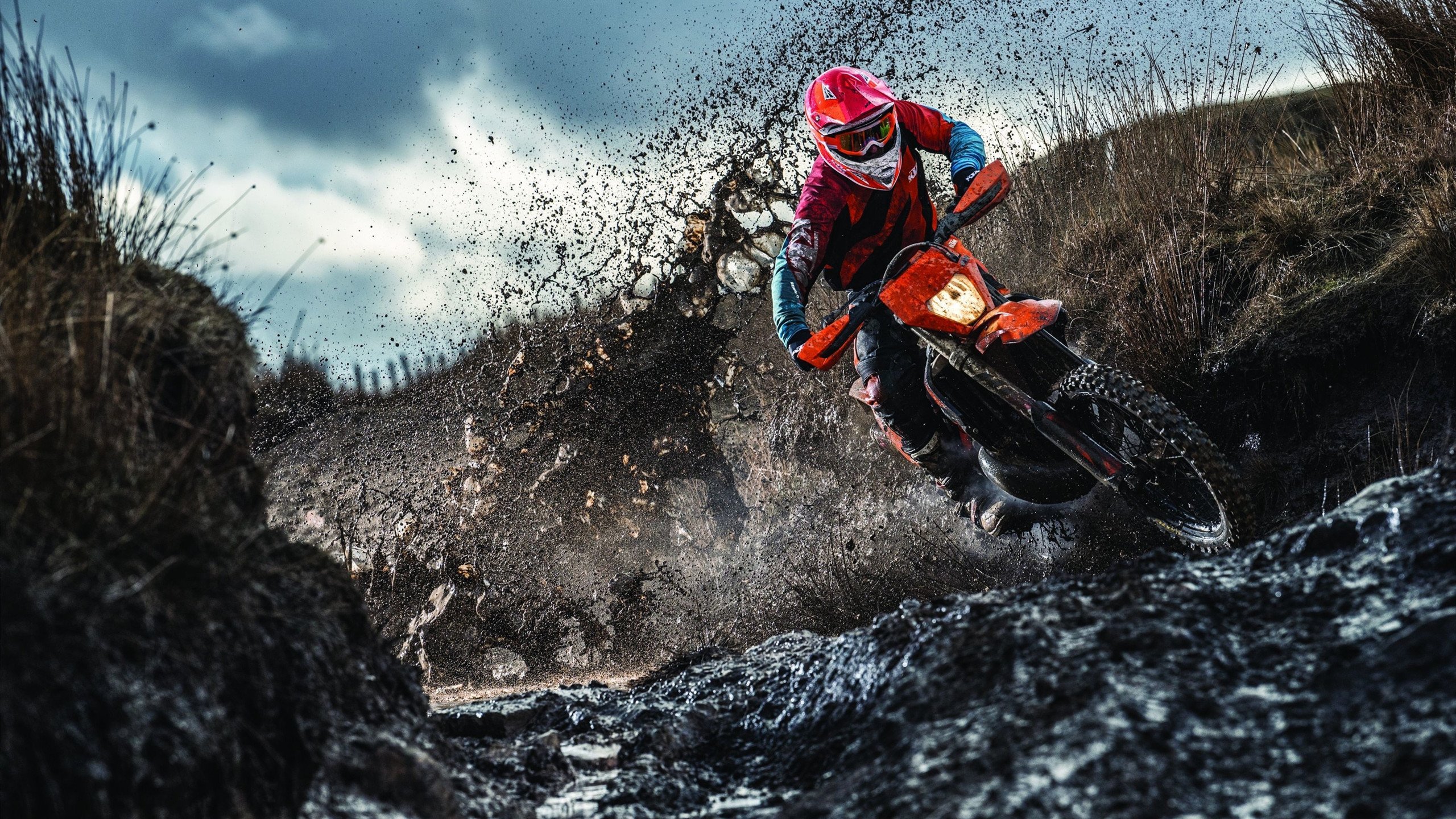 女生占男厕惹争议，教资考试文明考试引关注